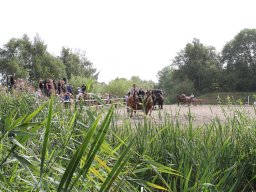 IMG_1206_web